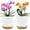 White, variant on Xilong 8" x 8" x 7" Round Green & White Plastic Planters with Drainage Holes & Saucers (2 Count)