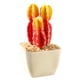 thumbnail image 1 of Planta tropical bonsai macetas cuadradas de plástico adornos creativos plantas de simulación flores falsas, 1 of 5