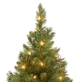 thumbnail image 2 of Árbol de Navidad National Tree Company Majestic Fir 60 cm, 2 of 6