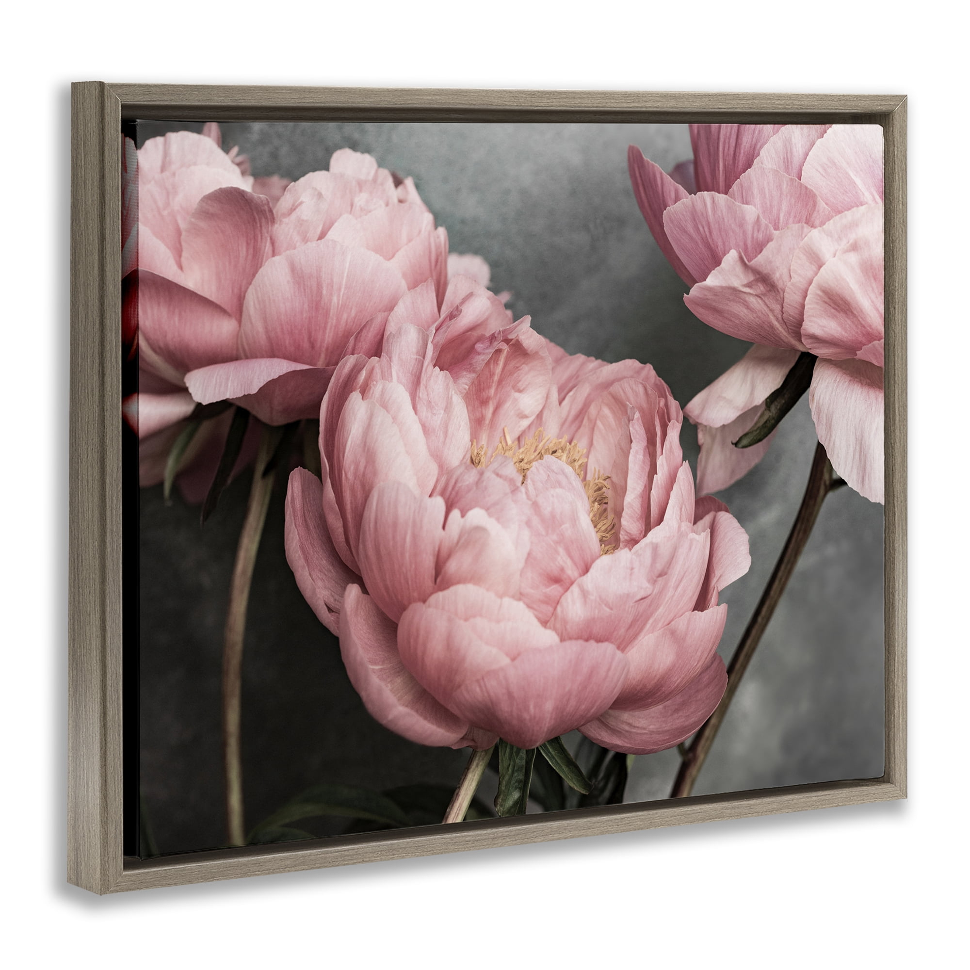 Stupell Industries Pink Peonies Trio Plants & Flowers Painting Brown Floater Framed Canvas Art Print Wall Art, 31 x 25