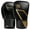 Black/Gold, variant on Hayabusa E1 Boxing Gloves for Men and Women - Black/Gold, 12oz