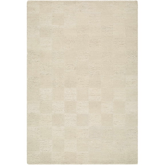 BoutiqueRugs Chasya Bohemian, Transitional Area Rug - Ivory, Cream, Beige - 10' x 14'