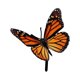 thumbnail image 2 of Figuras de mariposas decorativas hechas a mano. C, 2 of 9