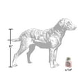 thumbnail image 5 of Miss Dogior Perfume Bottle Plush Dog Toy - One Size, 5 of 5