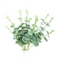 thumbnail image 6 of Efavormart 2 Pack | 19'' Tall Frosted Green Artificial Eucalyptus Sprays For Wedding Arch Gazebo Home Decoration, 6 of 10