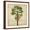 Brown Frame, variant on Art.com La Palma IV Art Print by Patricia Pinto, 16" x 16"