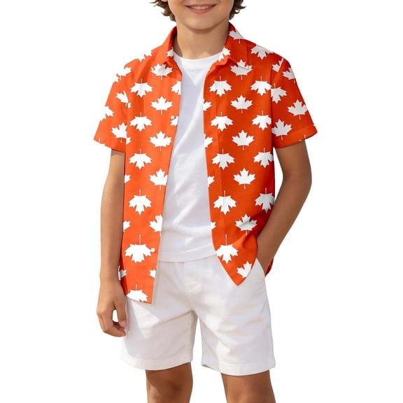 Lullu Toddler Boys Casual Short Sleeve Shirt Summer Lightweight Button Down Beach Shirt