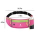 thumbnail image 4 of Running Belt With Water Bottle Sports Pack Waist Bag For Men & Women Sports Belt With Zipper For Running Hiking Climbing, 4 of 8