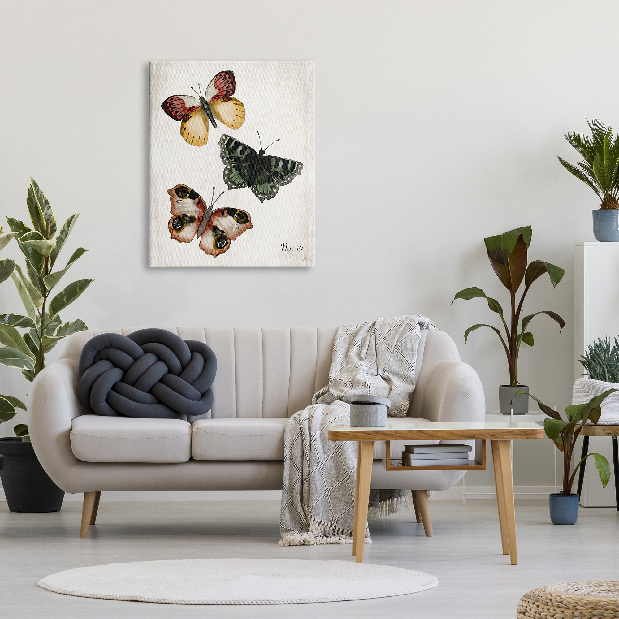 Stupell Industries Trio of Butterflies Farmhouse Patterned Wings Charming Insects, 30 x 40, Design by Jackie Quigley