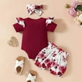 thumbnail image 6 of RTKFRFLM Valentine's Day Gift Baby Girl Clothes Set 3PC & Flora Romper with Ruffle Pants Soft Cotton 0-24 Months Outfit for Photo, 6 of 9