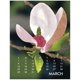 thumbnail image 2 of Calendario de escritorio Linnea Design 2026, diseño gráfico de Johanna Riley, 2 of 7