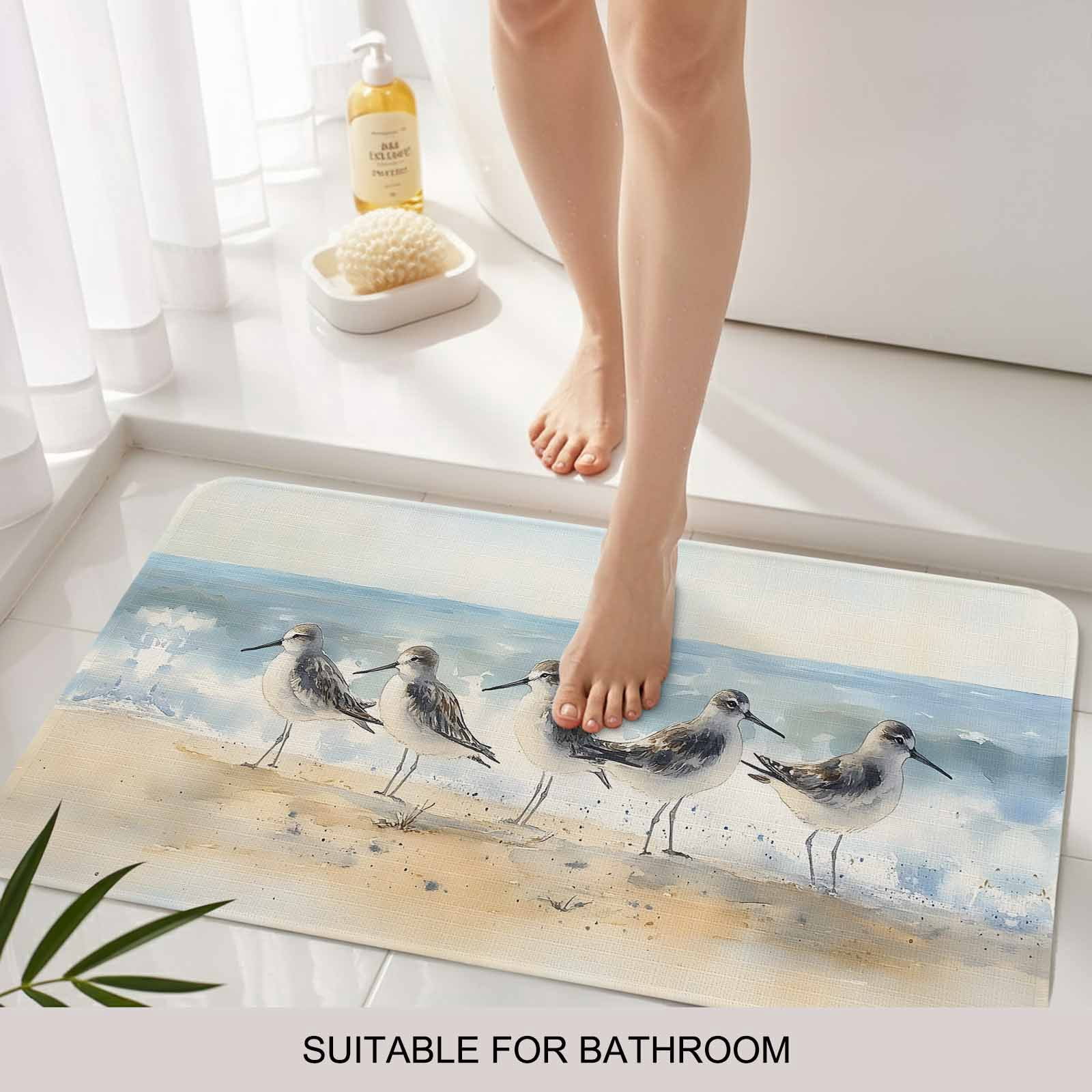 Coastal Seagull Doormat Outdoor Entrance 16"x24", Blue Ocean Summer Birds Oil Painted Absorb Moisture Dirt Door Mats, Non-Slip Rubber Backing Floor Mats Indoor, Low-Profile Front Door Rugs