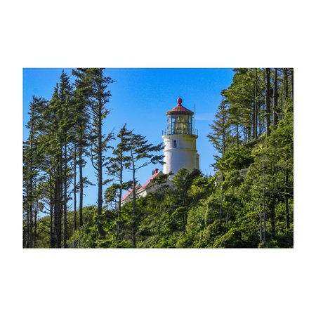Oregon Beacon Amongst the Pines - Florence Oregon Photography Lighthouse Forest Nature Scenic Coastal Landscape Woods Unframed Wall Art Print 4 x 6 inches