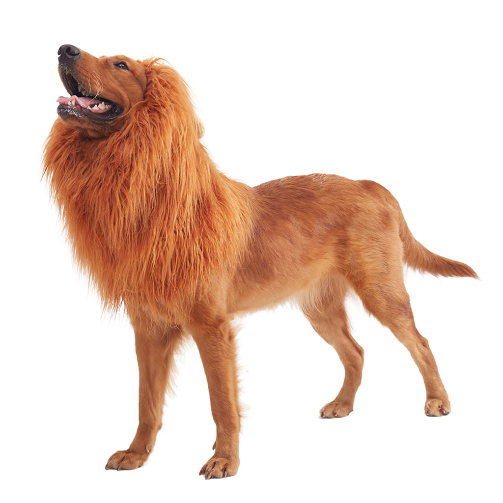 Fanville Funny Dog Lion Mane Dog Costumes Lion Wig with Tail Pets Party Supplies Lion Mane Wig for Dog Clothes Dress