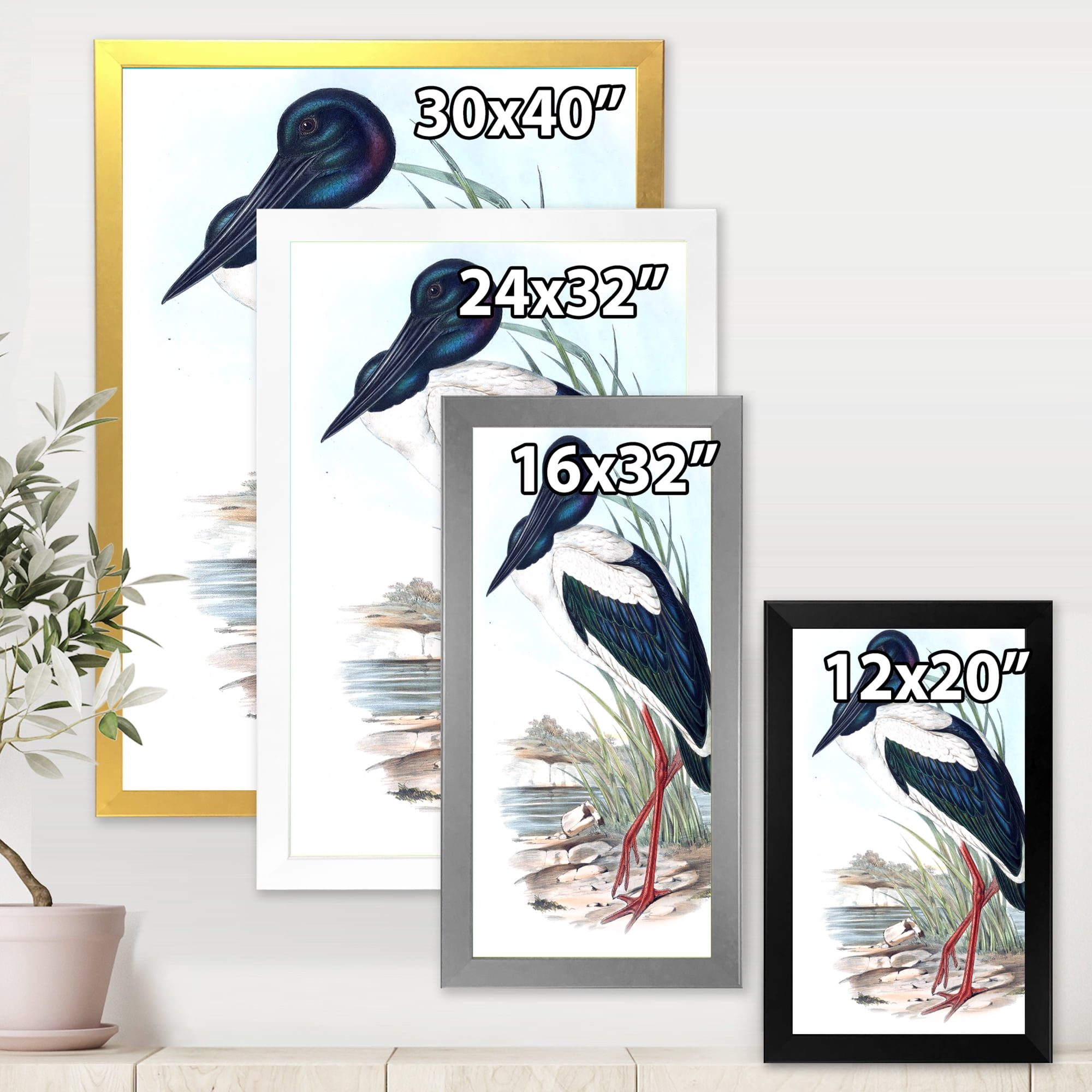 Designart 'Australian Vintage Birds I' Traditional Framed Art Print