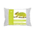 thumbnail image 1 of Canadian Down & Feather Company Oreiller Parfait en Duvet Hutterite (Format Grand Lit), 1 of 2