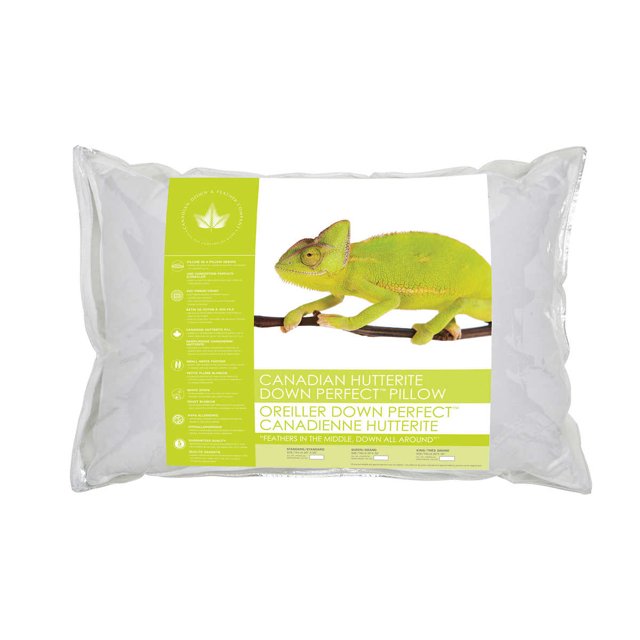 Canadian Down & Feather Company Oreiller Parfait en Duvet Hutterite (Format Grand Lit)