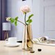 thumbnail image 1 of Jarrones de cristal para decoración de mesa, maceta transparente para plantas, arreglo Floral de lujo, florero estético para regalo, cafetería, sala Marrón Macarena Florero de flores, 1 of 8