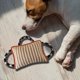 thumbnail image 5 of , con 3 asas, entrenamiento duradero de cachorros para , juego interactivo para 25x20cm Yuyangstore  Almohada de entrenamiento de mordida, 5 of 8