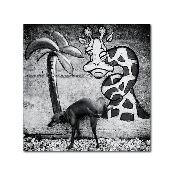 Trademark Fine Art 'Dog And Grafitti' Canvas Art by Christine Frick