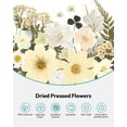 thumbnail image 4 of Kit de 100 piezas para manualidades naturales prensadas con flores secas, 4 of 9