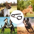 thumbnail image 5 of Dog collar reflective soft comfort strap Safety adjustable waterproof nylon,, 5 of 5