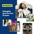 thumbnail image 3 of PetSafe Cotton Dog Training Lead - Great for Small, Medium and Large Breeds - 20 ft, 3 of 4