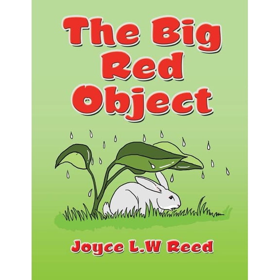 The Big Red Object, (Paperback)