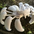thumbnail image 3 of Araña de Calabaza en 3D, Estatua de Escritorio de Calabaza Antiestrés, Regalo de Oficina, Decoración de Transformador de Calabaza, 3 of 5