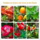thumbnail image 3 of Luz De Relleno De Plantas Blub Disipación De Calor Luz De Relleno De Plantas En Maceta Luz De Crecimiento De Plantas De Ahorro De Energía Con Tornillo E27 300 Cuentas Para Patio De Jardín Kearding HA027311-02, 3 of 6