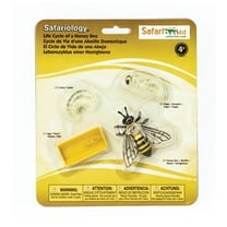 Safari Ltd. Honey Bee Life Cycle Figurines - Miniature Bee Lifecycle Collection - Educational Toy for Boys, Girls, and Kids Age 4