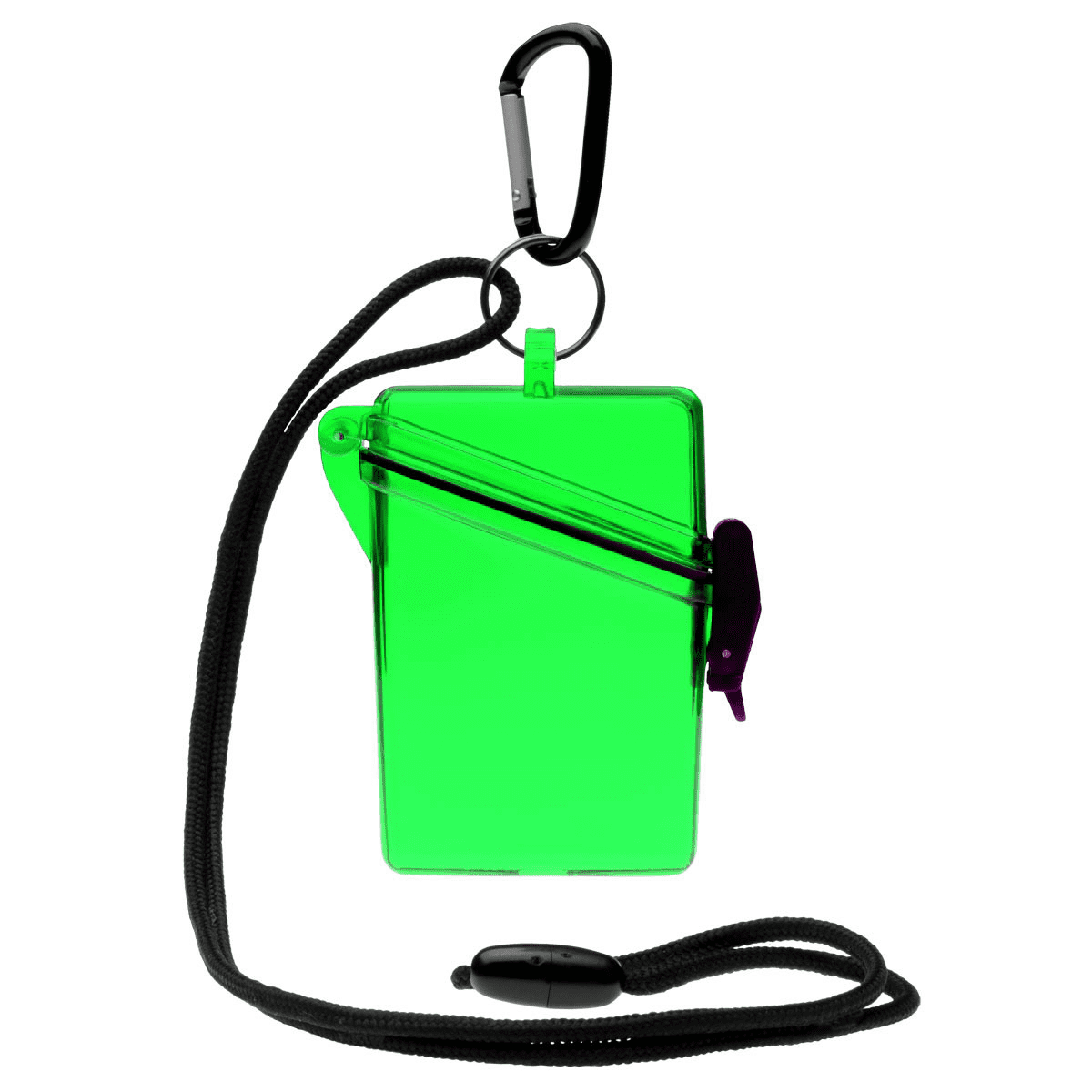Witz See-It Safe Dry Case