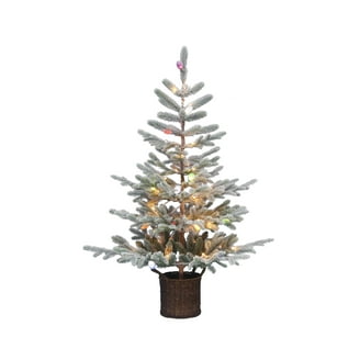 4' Pre-Lit Starburst Gold Artificial Christmas Tree with 500 Warm