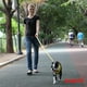 thumbnail image 3 of Puppia arnés suave para perro talla XG Puppia PDCF-AC30, 3 of 4