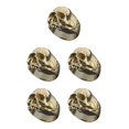 thumbnail image 1 of Sonducket Anillo Punk Para Accesorios Góticos Adecuado Para Anillo De Calavera De Halloween Que Agrega Un Toque Encantador Al Traje Dorado 7 Type2 NO2, 1 of 6