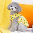 thumbnail image 4 of Paquete de 2 camisas para perros, disfraces de gato para cosplay, camisetas transpirables para mascotas,(S) ShuxiuWang 1327537110972, 4 of 4