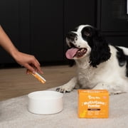 Zesty Paws 10-in-1 Multivitamin Powder Salmon Flavor Dog Supplement