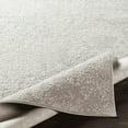 thumbnail image 5 of Surya Aisha AIS-2306 Area Rug 9'3" x 12'3", 5 of 8