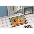 thumbnail image 4 of Carolines Treasures SS8123JMAT Chow Chow Doormat 24x36 36"L x 24"W multicolor, 4 of 4