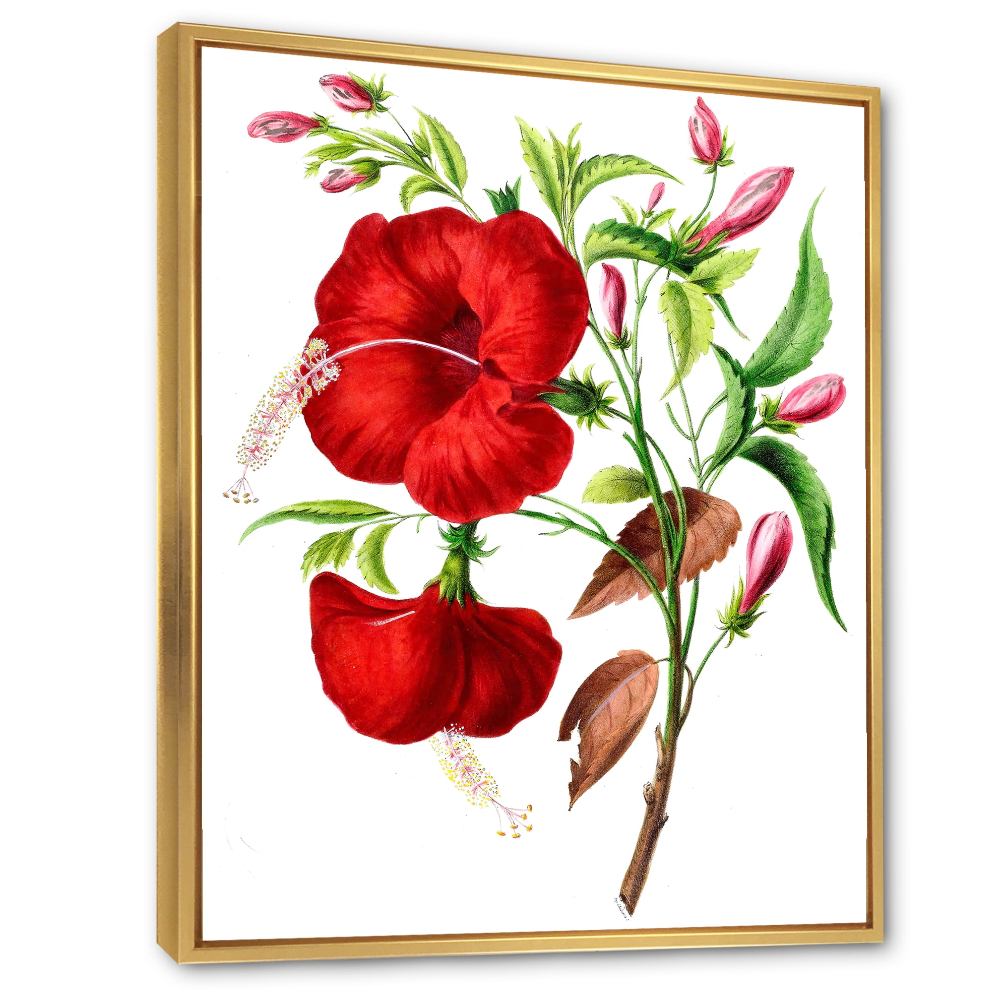 Designart 'Ancient American Flora I' Traditional Framed Canvas Wall Art Print