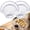2PCS, variant on Glass Shell Dumpling Tray, Clear Glass Serving Plate & Sauce Dish Design for Dumplings, Dim Sum, Snacks, Desserts & Entertaining
