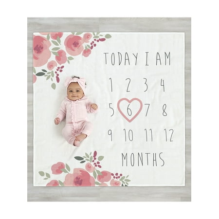 Modern Moments by Gerber Baby Girl Milestone Blanket & Frame Set, 2-Piece, Rose Floral