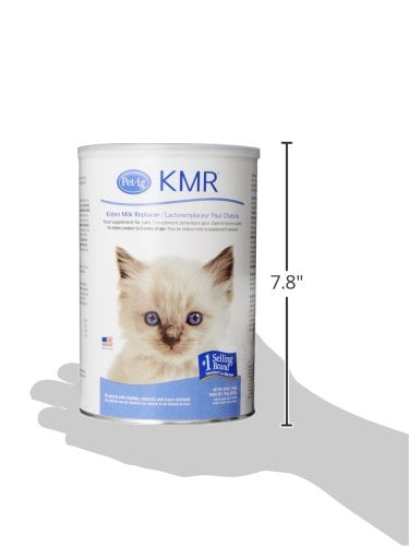 Milk for kittens walmart hot sale