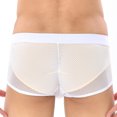 thumbnail image 5 of Sngxgn Men's Cool Breathable Underwear Boxer Briefs(White,XL), 5 of 7