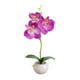 thumbnail image 2 of Fake Flowers Small Round Pot Phalaenopsis Three Flowers Bonsai Simulation Flower Arrangement Green Plant Simulation Potted Plants, 2 of 6
