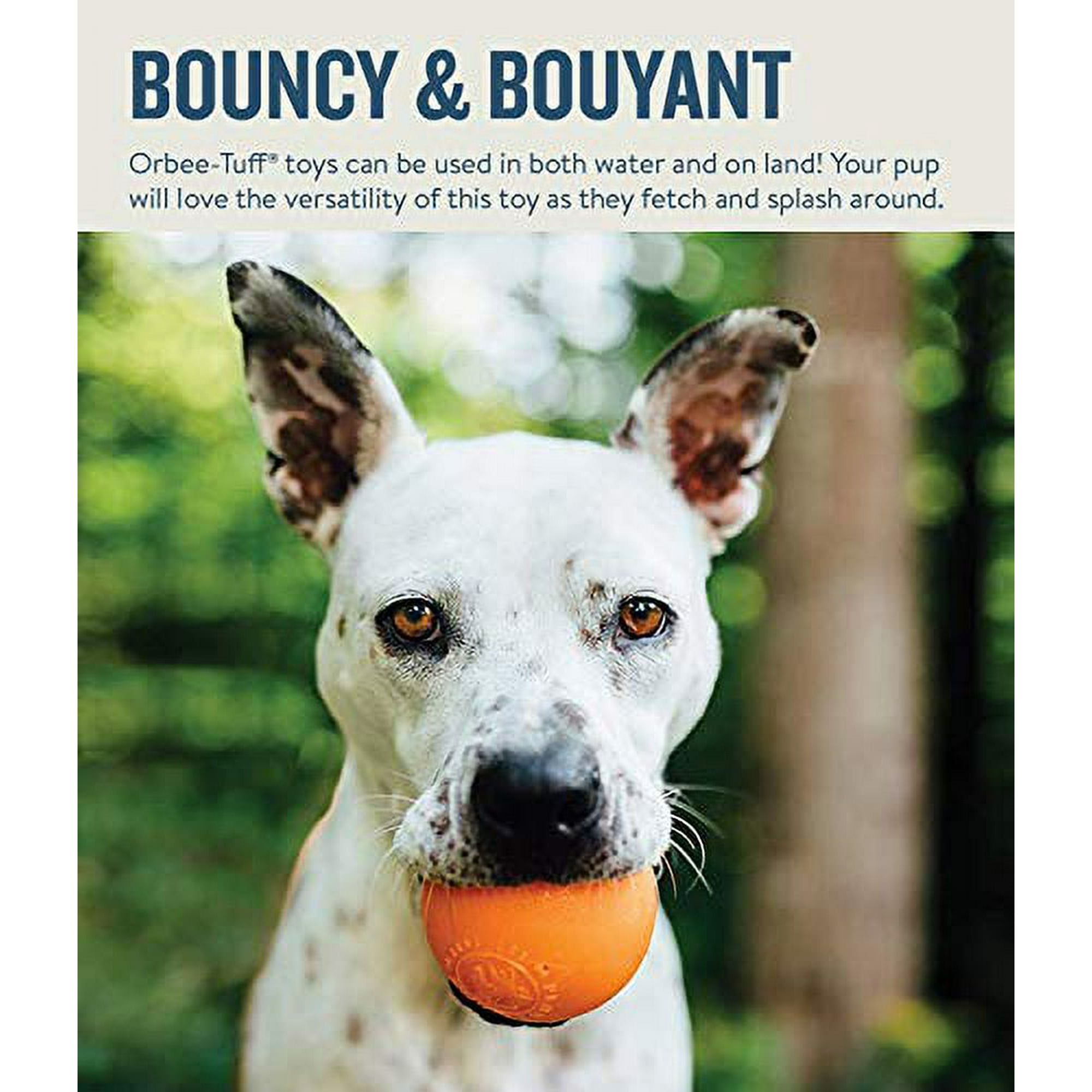 Animal planet dog toys deals