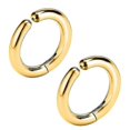 thumbnail image 1 of Pendiente de botón para mujer, sin perforar, con forma de espiral, de acero inoxidable y titanio, dorado, 2,5 x 10, código de producto 63108, dorado, 2,5 x 10, 1 of 5