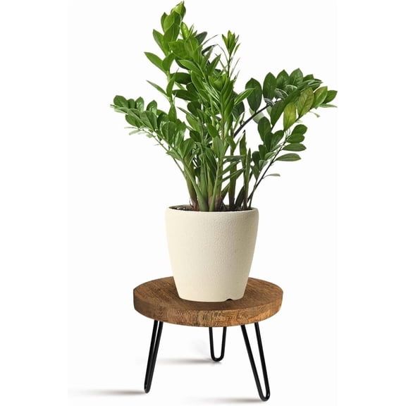11 in Plant Stand Indoor Outdoor Wood Mid Century Plant Stand for Indoor Plants, Modern Plant Table Round Plant Stool, Boho Rustic Wooden Stool for Plant Pot Hol