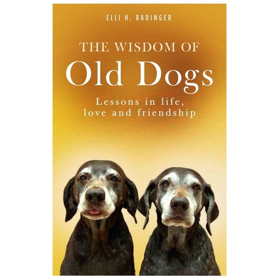 The Wisdom of Old Dogs : Lessons in Life, Love and Friendship (Paperback)