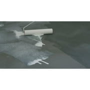 Drylok 28915 Wet Look Concrete & Masonry Sealer